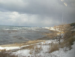 �ܔ\���̎ԑ�