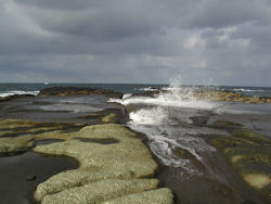 �T�􂩂�򖗂�������