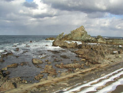 ���C�I����