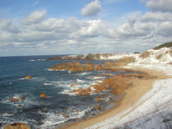 �ܔ\���̎ԑ�