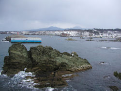 �ٓV������