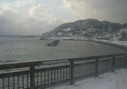 �����s���̃o�X�̎ԑ�