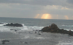 �[���̌��͍~�蒍��