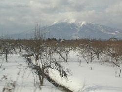 �ܔ\���̎ԑ�