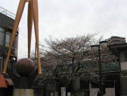 �b�q�����w�O