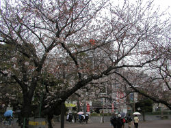 �b�q������O