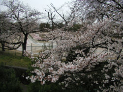 ���q����