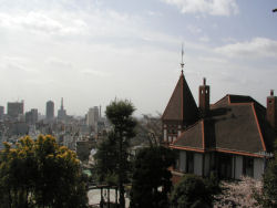 �V���{����