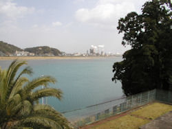 �C�̂悤�ȌF���