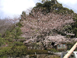 �O�ߏ��������