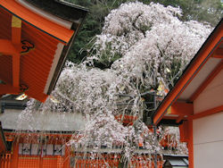 �F��ߒq���