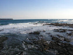 ���{�C�������t��