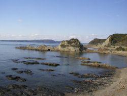 ���̂��ɐ�����