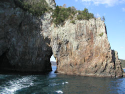 �I�̏�������