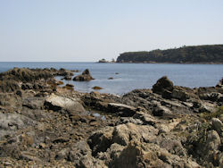 �C�ݗV��������