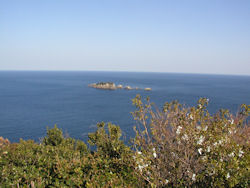 �T���R����