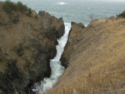 �ٌc�̑D�B��