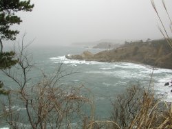 �֖�@����