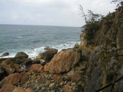 �g�̉ԗV��������