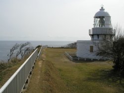 �\���蓔��