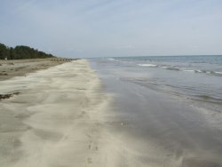 ������C��