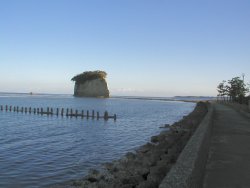 �R�͓����̂���