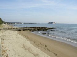 ����ނ��с[��