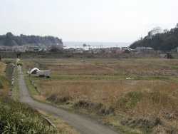 �C���J�̗����C���̂���