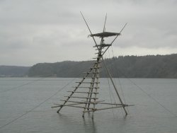 �{���҂��E