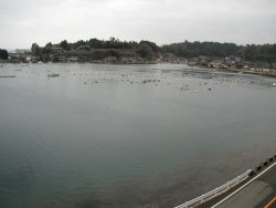 �����̓���]