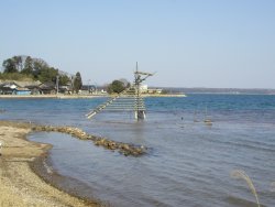 �{���҂��E