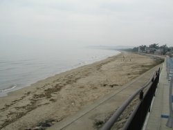 ���c�]�̒��l