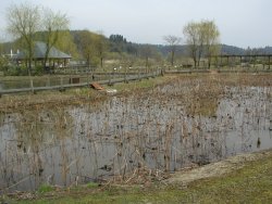 �\�񒬊���������