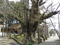 �������C�`���E