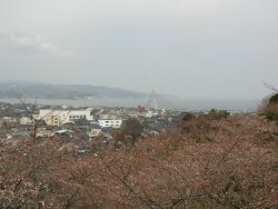 �����R��������