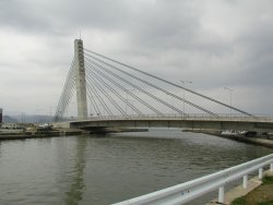 ����T�]��