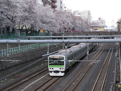 �����̍�