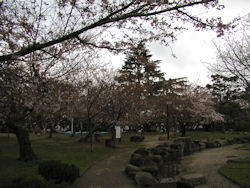 �Z�g����