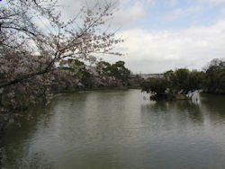 ����r����