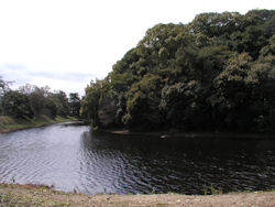 �����V�c��