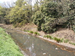 �m���V�c��