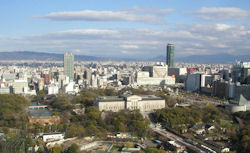 �ʓV�t���琶�����