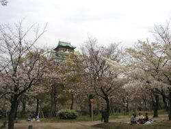 ���m�ے뉀����