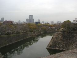 ����̂��x