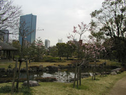 ���c�@�Ւ뉀