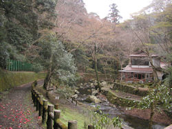 ���ʂ̑�V����