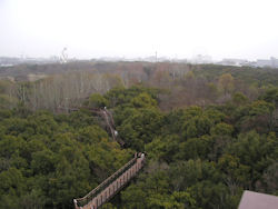 ���R�w�K�̐X