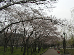 �����L�O����������