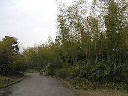 万博記念公園日本庭園