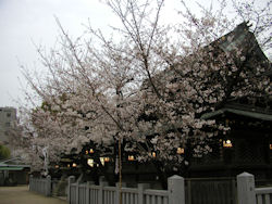 ���V���{